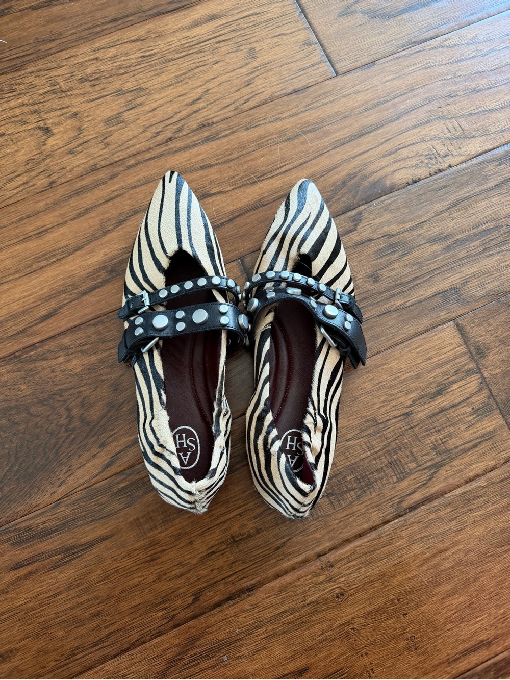 Ash Zebra-Print Pointed Flats with Black Studded Strap